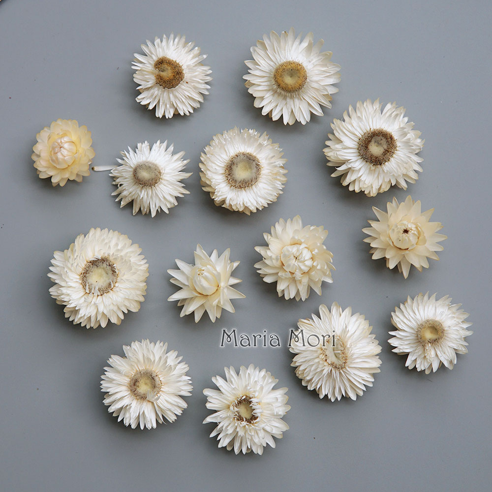 Baby Products In - 天然のドライでカラフルな菊の花輪,手作りのヘアアクセサリー,樹脂製品,アロマテラピーキャンドル