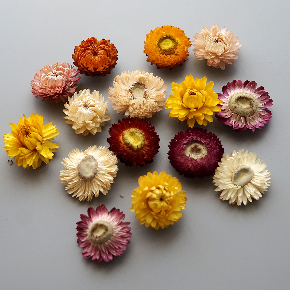 天然のドライでカラフルな菊の花輪,手作りのヘアアクセサリー, - Baby Products In のレビューと価格