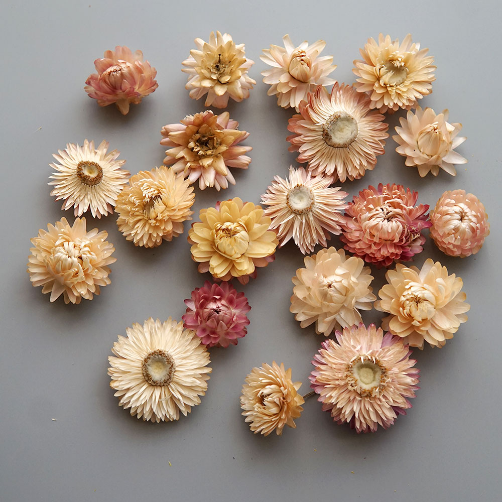 天然のドライでカラフルな菊の花輪,手作りのヘアアクセサリー, - Baby Products In のレビューと価格